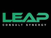 LEAP Consult Synergy