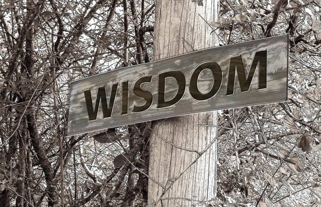 Wisdom